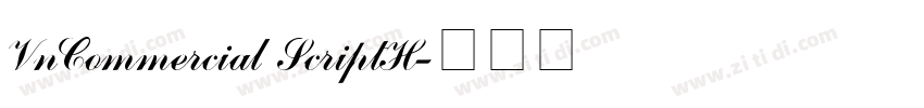 VnCommercial ScriptH字体转换